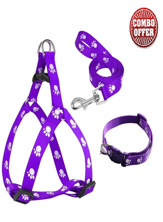 RoverPets 15mm Paw Print Nylon Collar| Harness & Leash Set for Puppies and Medium Dogs | Adjustable & Durable Pet Walking Kit (Color May Vary, Pack of 3) - Image 4